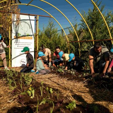 ΔΕΗ-και-open-farm-προωθούν-τη-βιώσιμη-γεωργία-στους-μαθητές-μέσω-του-“carbon-farming-schools”