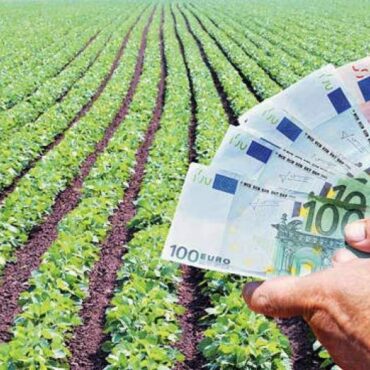Αγροτικά:-Την-Μεγάλη-Εβδομάδα-οι-συνδεδεμένες-Μέχρι-3-Απριλίου-οι-αιτήσεις