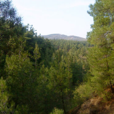 ΠΕ.-Ροδόπης:-Σε-ισχύ-η-δυνατότητα-απαγόρευσης-διέλευσης-σε-δασικές-περιοχές,-όταν-υπάρχει-υψηλός-κίνδυνος-πυρκαγιάς