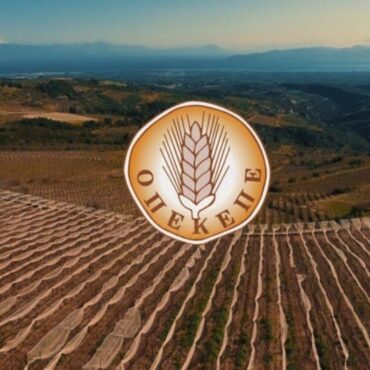 Εργαζόμενοι-ΟΠΕΚΕΠΕ:-Η-επιθυμία-για-κάθαρση-είναι-πραγματική-ή-μεθοδεύεται-η-πλήρης-διάλυσή-του-;