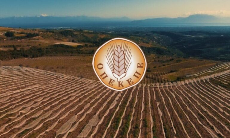 Εργαζόμενοι-ΟΠΕΚΕΠΕ:-Η-επιθυμία-για-κάθαρση-είναι-πραγματική-ή-μεθοδεύεται-η-πλήρης-διάλυσή-του-;