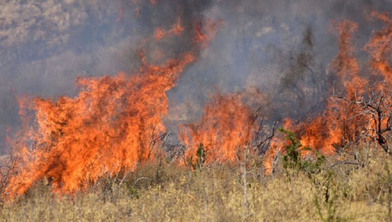 Βεβαιώθηκε-πρόστιμο-1.125-ευρώ-από-την-Πυροσβεστική-γιατί-έκαιγε-ξερά-χόρτα