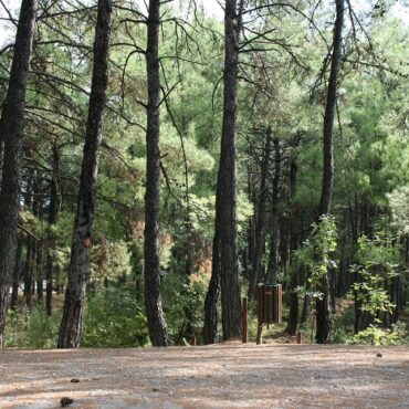 ΠΑΜΘ:-Απαγόρευση-πρόσβασης-και-κυκλοφορίας-σε-7-δασικές-περιοχές-του-νομού-Ροδόπης-λόγω-κινδύνου-εκδήλωσης-πυρκαγιάς