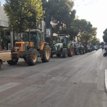 Πορεία-διαμαρτυρίας-πυρόπληκτων-ελαιοπαραγωγών-Έβρου-–-Ακόμη-να-εξοφληθούν-οι-αποζημιώσεις-για-την-πυρκαγιά-του-2023
