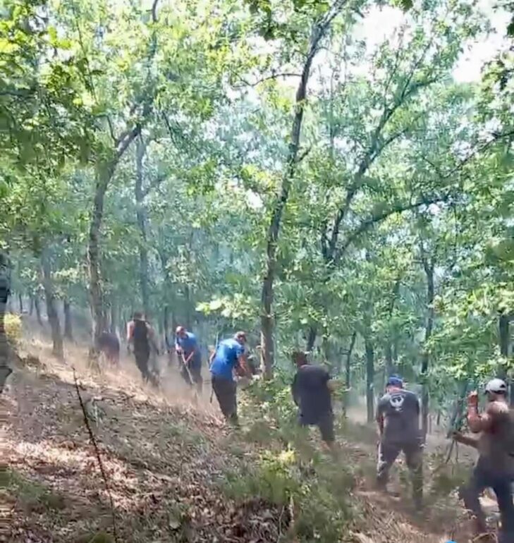 Δραματική-καθυστέρηση-στην-επιχορήγηση-πληγέντων-ΠΕ.-Ροδόπης-μέσω-κρατικής-αρωγής-για-τις-εκτεταμένες-απώλειες-από-την-πυρκαγιά-του-2023