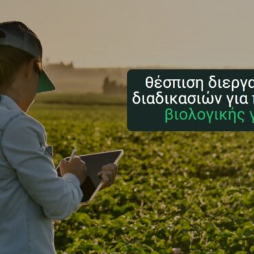 Εταιρεία-terracert-:-«Είμαστε-στη-διάθεση-κάθε-διοικητικού-και-δικαστικού-ελέγχου»