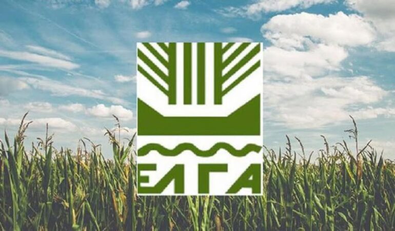 Ανακοίνωση-του-ΕΛΓΑ-προς-τους-παραγωγούς-του-Δήμου-Μαρώνειας-Σαπών,-για-τις-ζημιές-από-τον-πρόσφατο-καύσωνα
