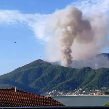 Ευχαριστήρια-ανακοίνωση-του-Δημάρχου-Θάσου-για-τη-φωτιά-σε-Πρίνο-και-Μαριές