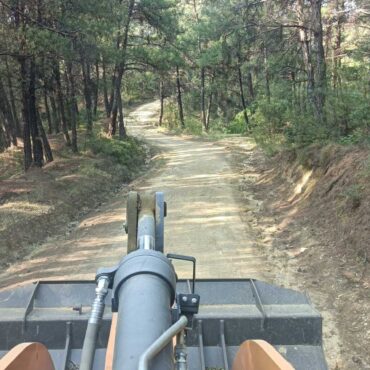 Καθαρισμοί-δασικών-δρόμων-από-το-Τμήμα-Πολιτικής-Προστασίας