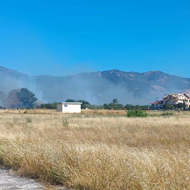 Πυρκαγιά-σε-εξέλιξη….-Στην-Μοσινούπολη…