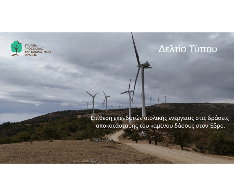 “Καμία-ντροπή-πια!-Θέλουν-να-βάλουν-ανεμογεννήτριες-ακόμη-και-πάνω-σε-αναδάσωση-στο-καμένο-δάσος-!”