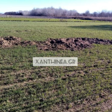 Αποζημίωση-για-τις-ζημιές-από-αγριογούρουνα