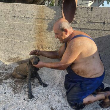 Κολλημένο-στην-πίσσα-της-κολάσεως…
