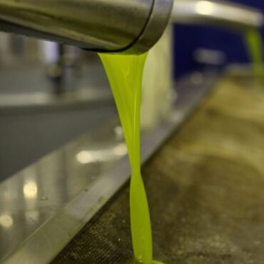 Ελαιόλαδο:-Τιμές-σε-ελεύθερη-πτώση-–-Πόσο-κοστίζει-το-λίτρο;