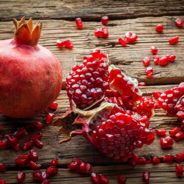 Ιστορίες-ενός-Τρικαλινού-Αγρότη….