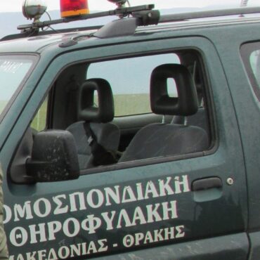 Σύλληψη-λαθροθήρων-στους-Ασκητές-Ροδόπης-από-τη-Θηροφυλακή-της-ΚΟΜΑΘ
