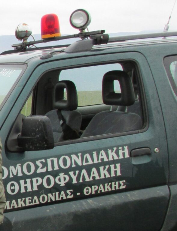 Σύλληψη-λαθροθήρων-στους-Ασκητές-Ροδόπης-από-τη-Θηροφυλακή-της-ΚΟΜΑΘ