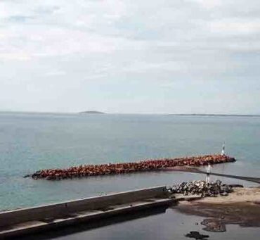 tην-Κομοτηνή-θα-επισκεφτεί-η-γγ-του-Υπ.-Τουρισμού-για-την-κατασκευή-της-Μαρίνας-Κρυονερίου