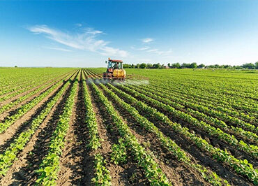 Αγροτικά:-“Χτυπάνε-πίσω”-οι-αποζημιώσεις-για-τις-ζημιές-από-τους-ανοιξιάτικους-παγετούς