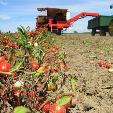 Νέα-Αριστερά-:-«Η-βιολογική-γεωργία-υπό-διωγμό:-Ποιος-φταίει-για-την-καταστροφή-των-αγροτών-;»