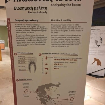 Αρχαιολογικό-Μουσείο-Κομοτηνής:-Πραγματοποιήθηκαν-με-επιτυχία-τα-εγκαίνια-της-έκθεσης-“biomuse:-Από-τα-θραύσματα-των-οστών-στις-ιστορίες-των-ανθρώπων”.