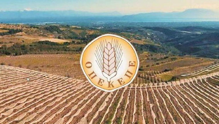 «Η-ελληνική-ύπαιθρος-δεν-αντέχει-άλλες-καθυστερήσεις-στις-αγροτικές-επιδοτήσεις»