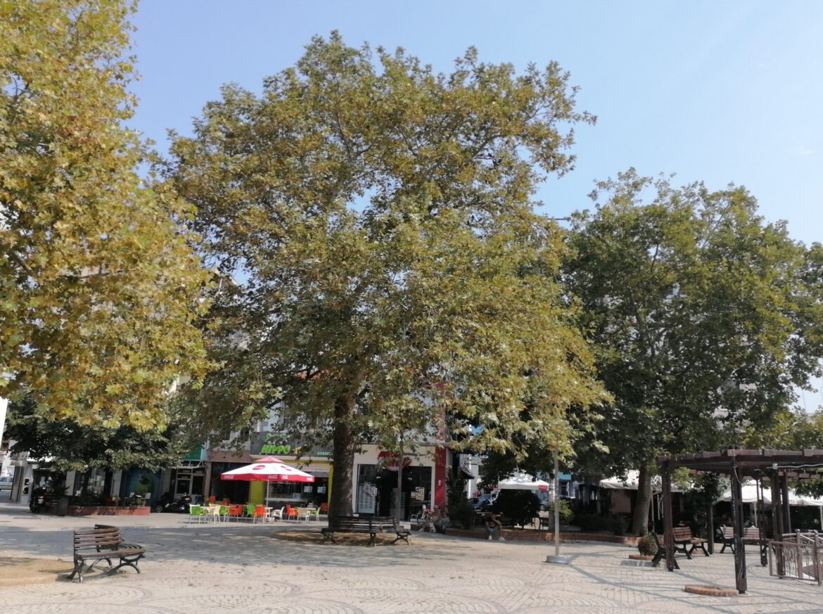 f16-στον-ουρανό-της-Κομοτηνής-στις-5-Νοεμβρίου