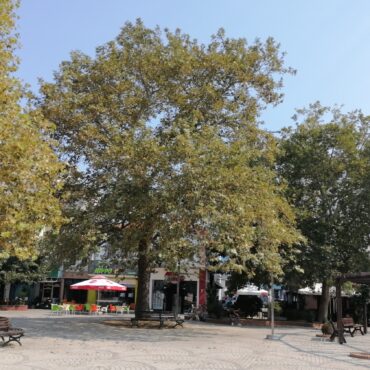 f16-στον-ουρανό-της-Κομοτηνής-στις-5-Νοεμβρίου