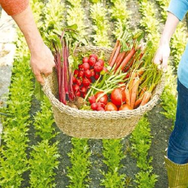 ΔΠΘ:-Ημερίδα-στην-Ξάνθη-με-θέμα-«Αγροδιατροφή-και-Ψηφιακή-Καινοτομία:-Το-ΔΠΘ.-ως-καταλύτης-ανάπτυξης»