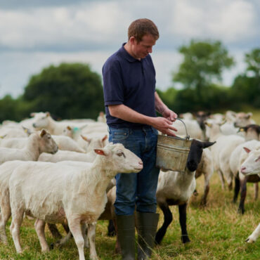 Το-ΑΚΚΕΛ-αποκαλύπτει-την-αλήθεια-για-την-ευλογιά-των-προβάτων-και-τον-εμβολιασμό-–-Διάψευση-της-δήλωσης-Τσιάρα