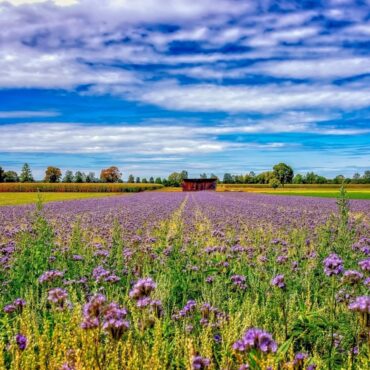 Πανευρωπαϊκό-βήμα-προόδου-σχετικά-με-τη-νιτρορύπανση-και-τις-απώλειες-αζώτου-στη-γεωργία