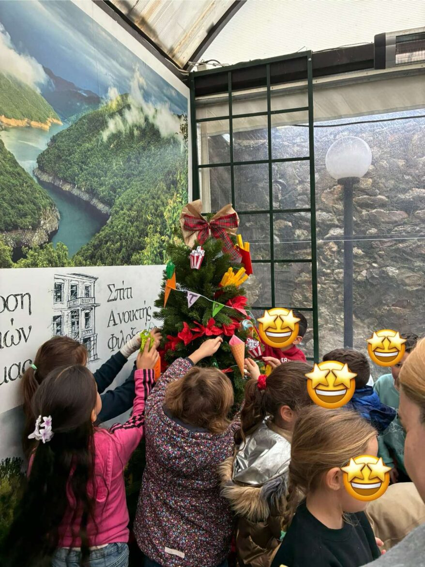 Από-την-Ένωση-Κυριών-Δράμας-ΣΑΦ.-:-Έτοιμο-το-δέντρο-της-Τράπεζας-Τροφίμων-Δράμας