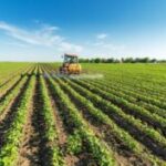 Η-Ένωση-Εργαζομένων-Καταναλωτών-Ελλάδας-στηρίζει-τον-αγώνα-των-αγροτών