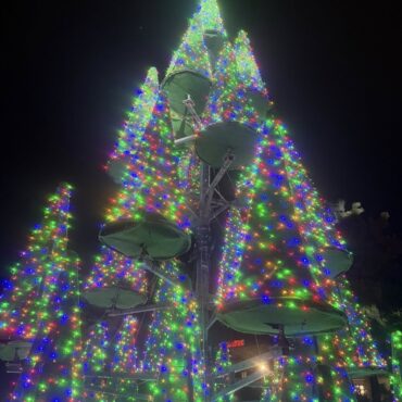 Κομοτηνή:-Μεγάλη-η-συμμετοχή-του-κόσμου-στο-santa-run-2025-και-στη-φωταγώγηση-του-Χριστουγεννιάτικου-Δένδρου-(φωτος)