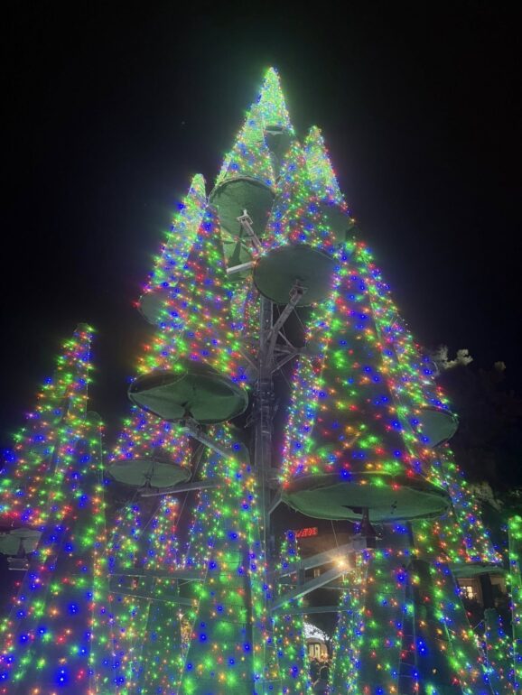 Κομοτηνή:-Μεγάλη-η-συμμετοχή-του-κόσμου-στο-santa-run-2025-και-στη-φωταγώγηση-του-Χριστουγεννιάτικου-Δένδρου-(φωτος)