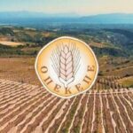 Στέλιος-Μωραΐτης-:-«Σκάνδαλο-ΟΠΕΚΕΠΕ-ΚΑΙ-ΣΤΗΝ-ΞΑΝΘΗ»