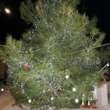 Δήμος-Κομοτηνής:-Ανάβουν-τα-φώτα-των-Χριστουγεννιάτικων-δένδρων-στους-οικισμούς-Πρόγραμμα-εκδηλώσεων