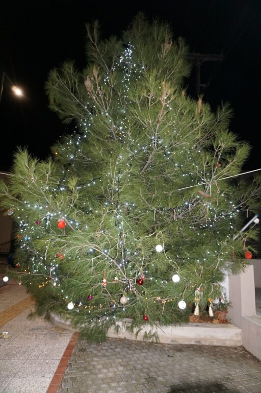 Δήμος-Κομοτηνής:-Ανάβουν-τα-φώτα-των-Χριστουγεννιάτικων-δένδρων-στους-οικισμούς-Πρόγραμμα-εκδηλώσεων