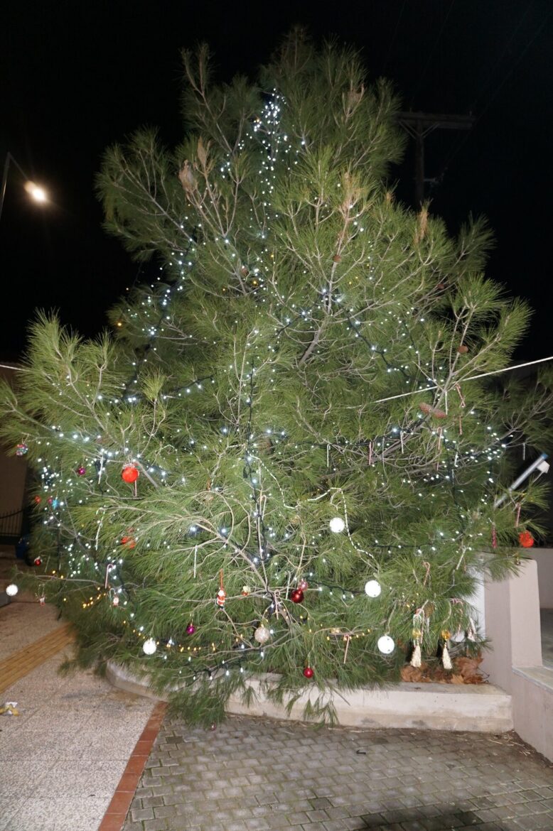 Δήμος-Κομοτηνής:-Ανάβουν-τα-φώτα-των-Χριστουγεννιάτικων-δένδρων-στους-οικισμούς-Πρόγραμμα-εκδηλώσεων