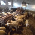 Παύλος-Χρηστίδης:-Αντί-να-δώσετε-λεφτά-στους-αγρότες,-τους-παίρνετε-κιόλας