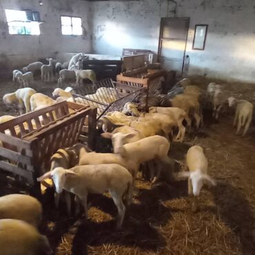 Παύλος-Χρηστίδης:-Αντί-να-δώσετε-λεφτά-στους-αγρότες,-τους-παίρνετε-κιόλας