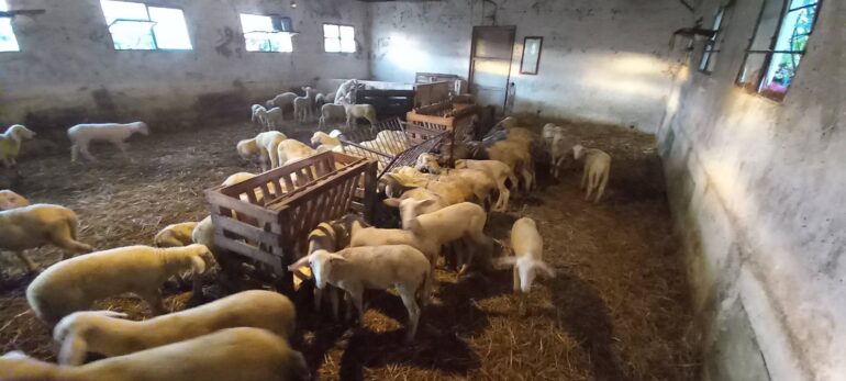 Παύλος-Χρηστίδης:-Αντί-να-δώσετε-λεφτά-στους-αγρότες,-τους-παίρνετε-κιόλας