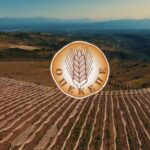 ΟΠΕΚΕΠΕ:-Σε-ισχύ-η-ψηφιακή-εφαρμογή-για-αγροτεμάχια-χωρίς-ΚΑΕΚ