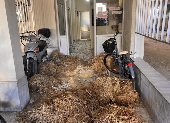 ΔΕΕΠ-ΡΟΔΟΠΗΣ-ΝΔ-:-¨”Ο-αγώνας-τον-αγροτών-για-την-υπεράσπιση-των-δίκαιων-αιτημάτων-τους,-δε-μπορεί-και-δεν-πρέπει-να-έχει-σχέση-με-κινήσεις-εντυπωσιασμού,-χωρίς-πολιτική-ανταπόκριση”