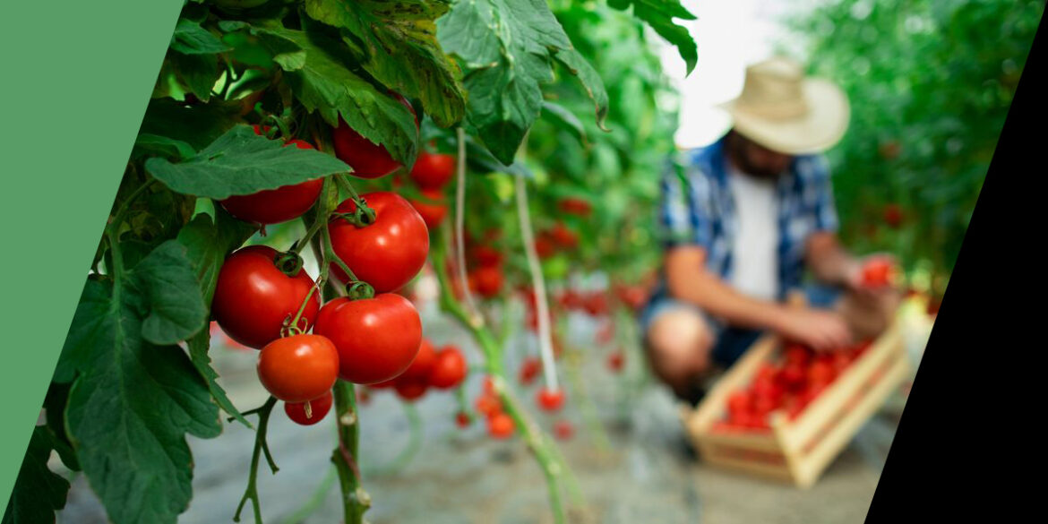 Παύλος-Χρηστίδης:-Αν-εγκαταλείψουν-οι-αγρότες,-τι-θα-γίνει-η-Ελλάδα;-Θα-τα-εισάγουμε-όλα;