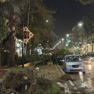 Σάρωσε-η-καταιγίδα-την-Αλεξανδρούπολη:-Μεγάλες-καταστροφές-από-πτώσεις-δέντρων-(βίντεο)