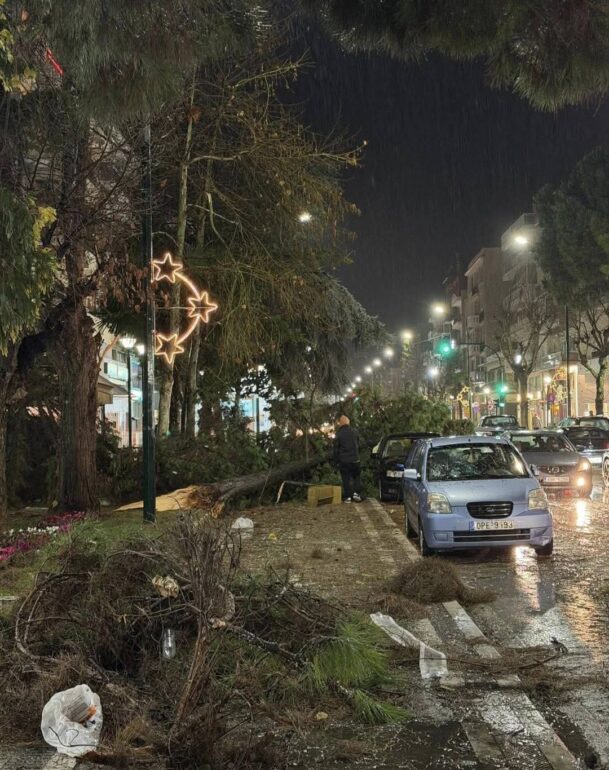 Σάρωσε-η-καταιγίδα-την-Αλεξανδρούπολη:-Μεγάλες-καταστροφές-από-πτώσεις-δέντρων-(βίντεο)