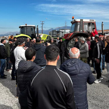 ΜΙΧΑΛΗΣ-ΚΑΤΡΙΝΗΣ-:-«Οι-αγρότες-δεν-χρειάζονται-προσχηματικές-επιτροπές,-αλλά-λύσεις»