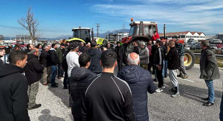ΜΙΧΑΛΗΣ-ΚΑΤΡΙΝΗΣ-:-«Οι-αγρότες-δεν-χρειάζονται-προσχηματικές-επιτροπές,-αλλά-λύσεις»