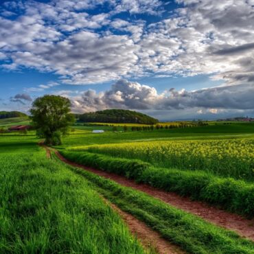Δορυφόροι,-Κτηματολόγιο-και-ai:-Η-νέα-εποχή-στις-αγροτικές-ενισχύσεις